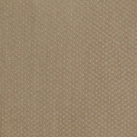 Shaw Floors SHAW FLOORING GALLERY Departure Prairie