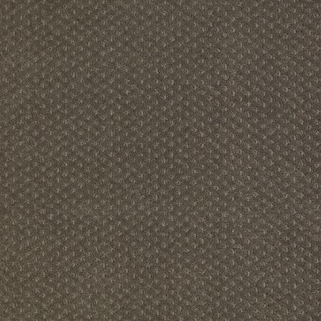 Shaw Floors SHAW FLOORING GALLERY Departure Graphite