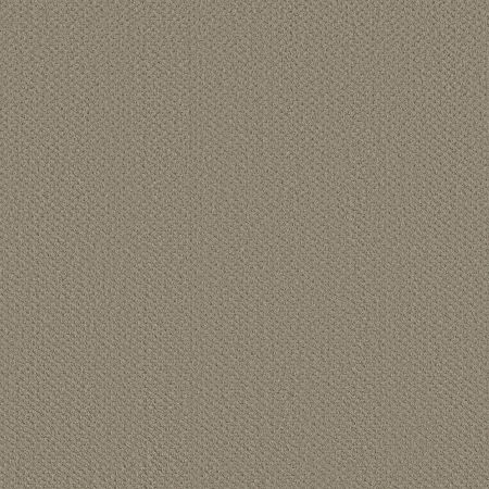 Shaw Floors FOUNDATIONS Infallible Instinct Park Avenue