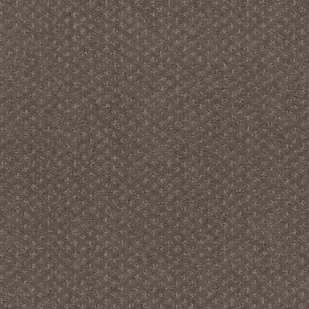 Shaw Floors FOUNDATIONS Infallible Instinct Front Gate