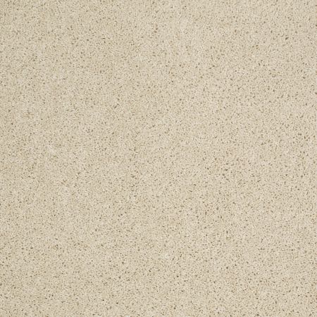 Shaw Floors SHAW FLOORING GALLERY Embark Linen