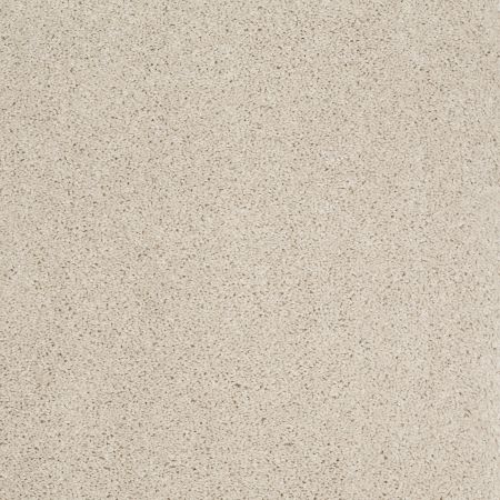 Shaw Floors SHAW FLOORING GALLERY Embark Canvas