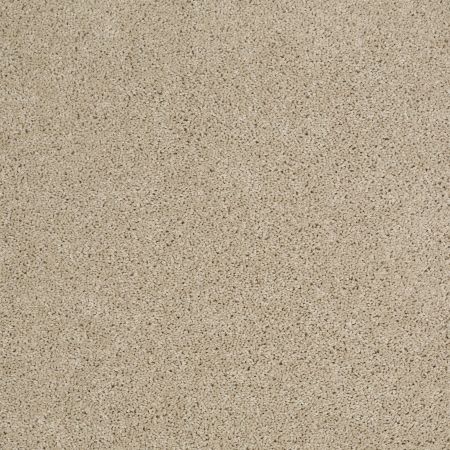 Shaw Floors SFA Source Ii Frost