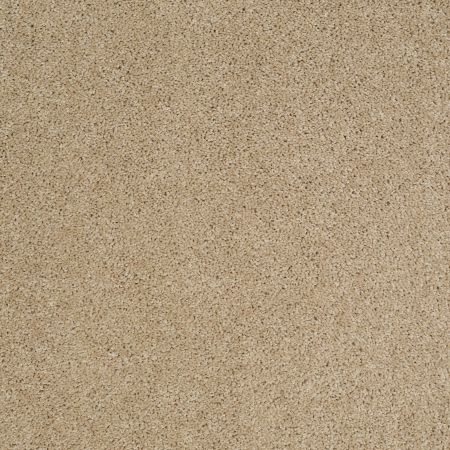 Shaw Floors SHAW FLOORING GALLERY Embark Field Stone