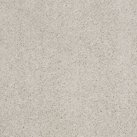 Shaw Floors SFA Source Ii Mist