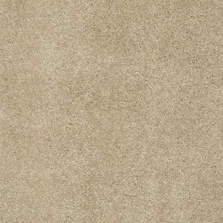 Shaw Floors SFA Source Ii Almond Tone