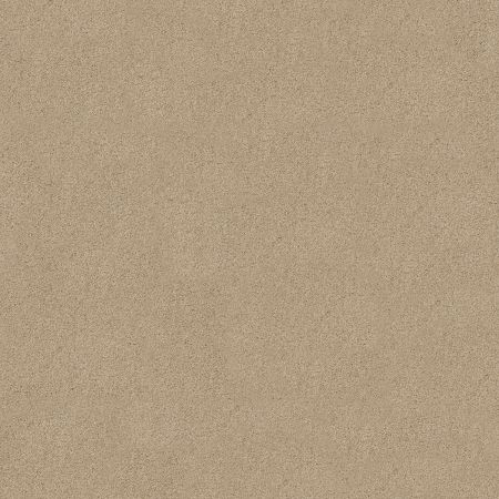 Shaw Floors SFA Source Ii Rice Paper