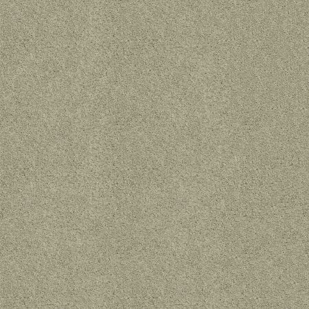 Shaw Floors SHAW FLOORING GALLERY Embark Haven