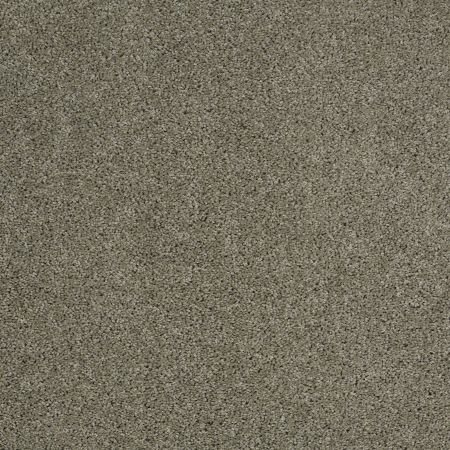 Shaw Floors SHAW FLOORING GALLERY Embark Silver Sage