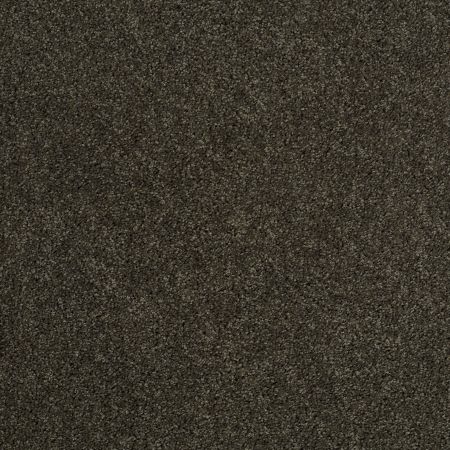 Shaw Floors SHAW FLOORING GALLERY Embark Garden Retreat