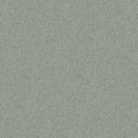 Shaw Floors SFA Source Ii Drizzle