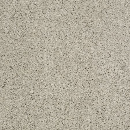 Shaw Floors SHAW FLOORING GALLERY Embark Cold Water