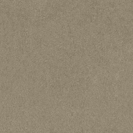 Shaw Floors SHAW FLOORING GALLERY Embark Gray Flannel