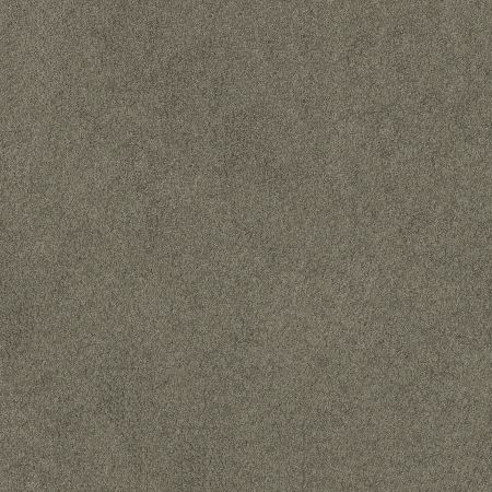 Shaw Floors SHAW FLOORING GALLERY Embark Pewter