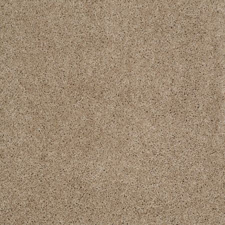 Shaw Floors SHAW FLOORING GALLERY Embark Mushroom