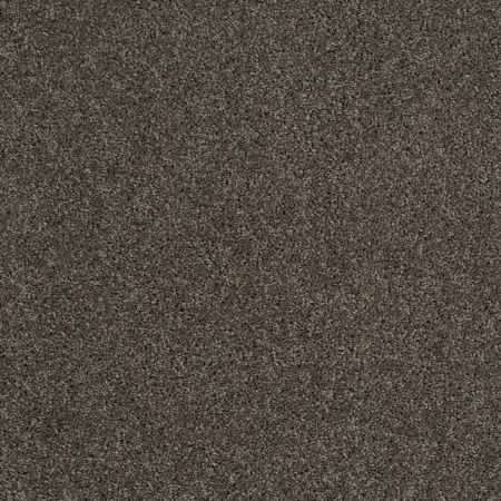 Shaw Floors SHAW FLOORING GALLERY Embark Graphite