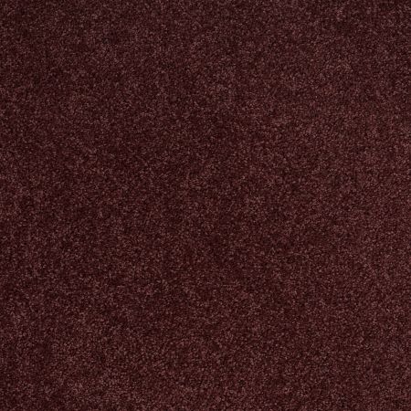 Shaw Floors SHAW FLOORING GALLERY Embark Berry