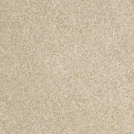 Shaw Floors SHAW FLOORING GALLERY Canvas Dunes