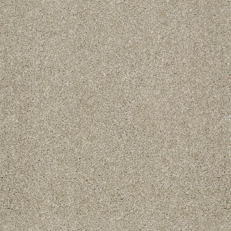 Shaw Floors SHAW FLOORING GALLERY Canvas Frost