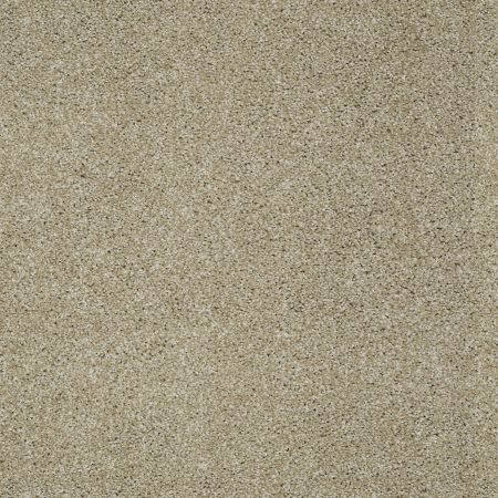 Shaw Floors SHAW FLOORING GALLERY Canvas Field Stone