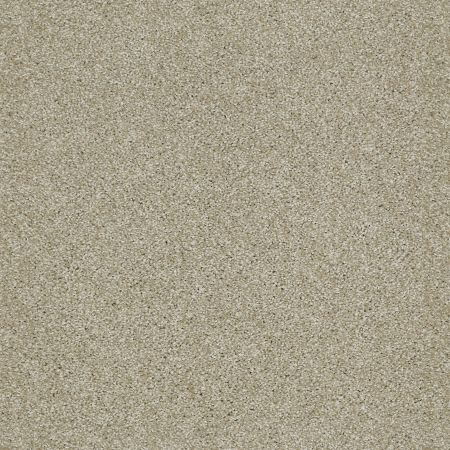 Shaw Floors SHAW FLOORING GALLERY Canvas Wool Skein