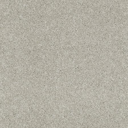 Shaw Floors FOUNDATIONS Always Ready I Etched Glass