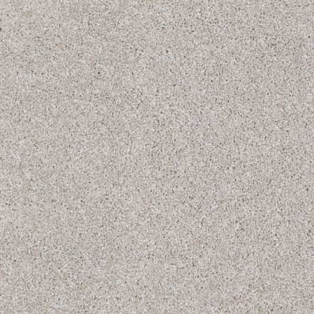Shaw Floors FOUNDATIONS Always Ready I Studio Taupe