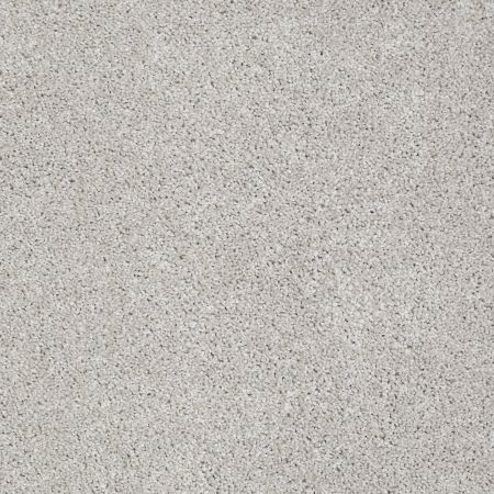 Shaw Floors FOUNDATIONS Always Ready I Realist