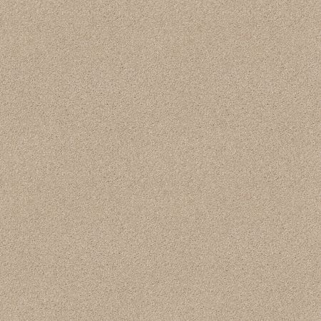 Shaw Floors FOUNDATIONS Always Ready I Boutique