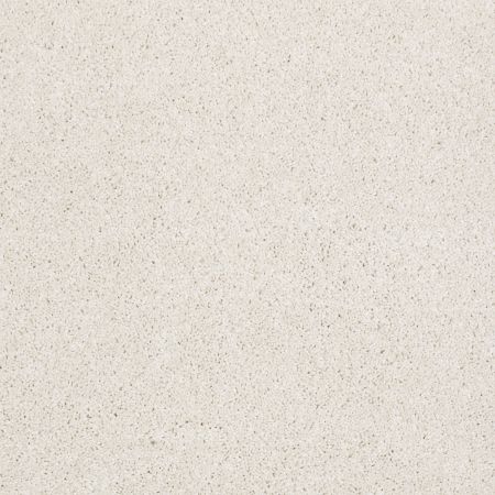 Shaw Floors FOUNDATIONS Always Ready I Park Place