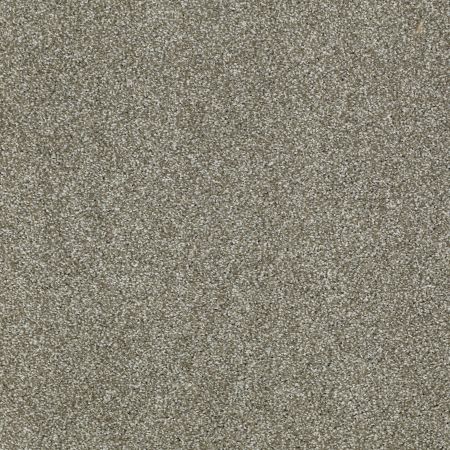Shaw Floors SHAW FLOORING GALLERY Canvas Silver Sage