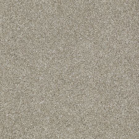 Shaw Floors SHAW FLOORING GALLERY Canvas Gray Flannel