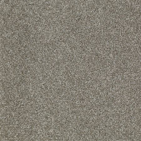 Shaw Floors SHAW FLOORING GALLERY Canvas Pewter