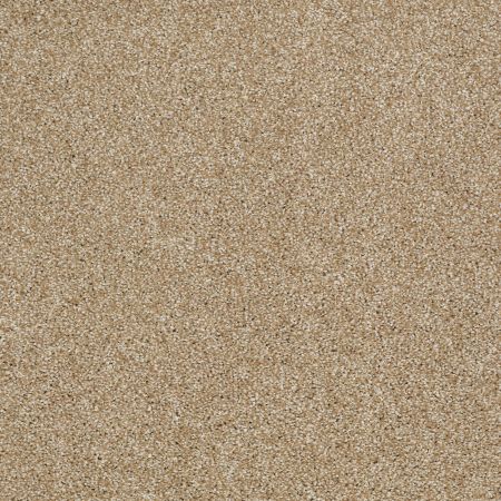 Shaw Floors SHAW FLOORING GALLERY Canvas Natural Wood