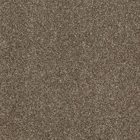 Shaw Floors SHAW FLOORING GALLERY Canvas Townhouse