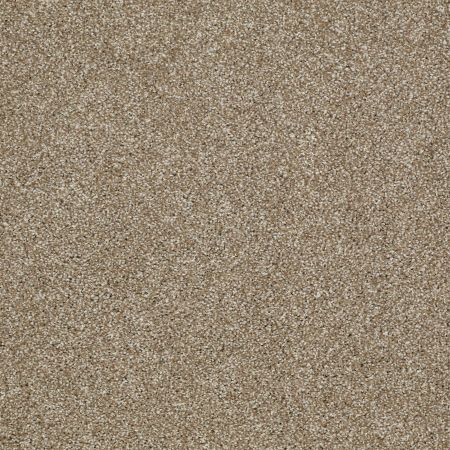 Shaw Floors SHAW FLOORING GALLERY Canvas Prairie