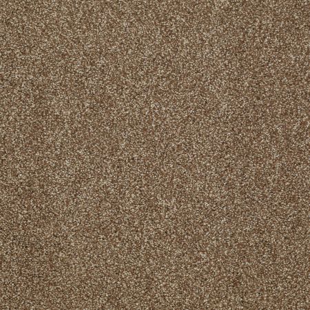 Shaw Floors SHAW FLOORING GALLERY Canvas Travertine