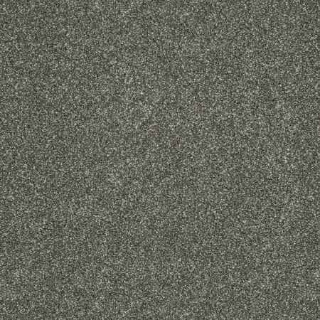 Shaw Floors SHAW FLOORING GALLERY Canvas Graphite