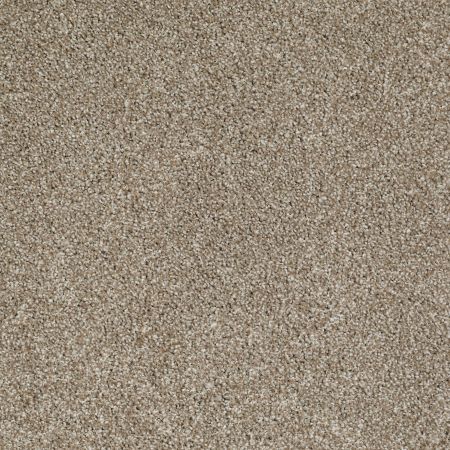 Shaw Floors FOUNDATIONS Always Ready I Warmth