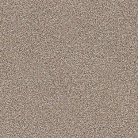 Shaw Floors FOUNDATIONS Always Ready I Summerville