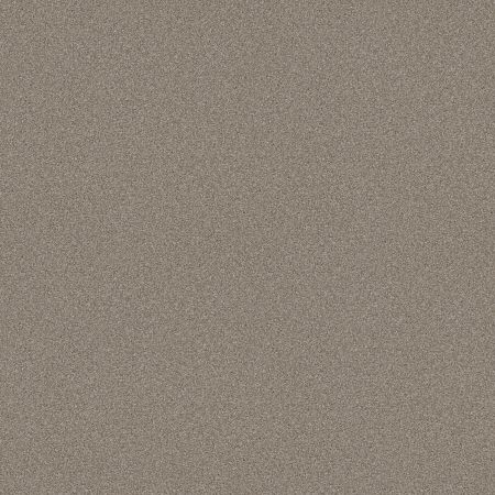 Shaw Floors FOUNDATIONS Always Ready I Arrowhead