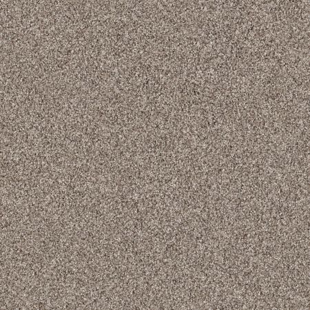 Shaw Floors Anso It Goes Barn Wood