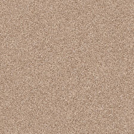 Shaw Floors FOUNDATIONS Exploration Caravan