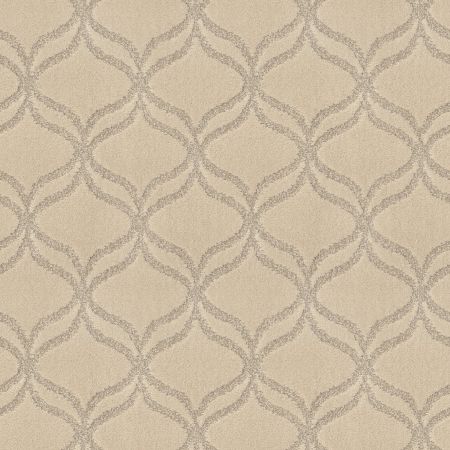 Anderson Tuftex CARESS BY SHAW New Exhibition Soft Fleece