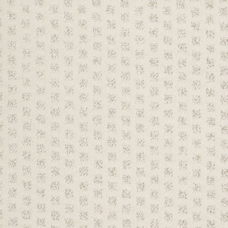 Anderson Tuftex CARESS BY SHAW The Arts Soft Fleece