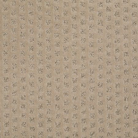 Anderson Tuftex My Expression Llama