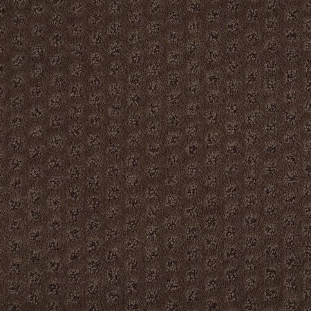 Anderson Tuftex My Expression Bison