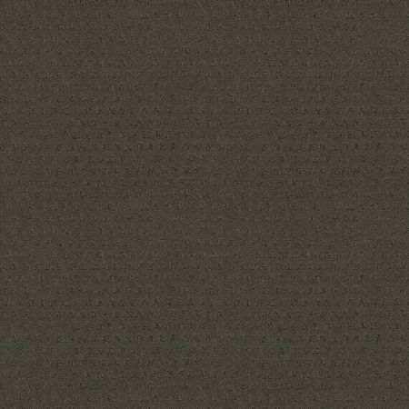 Anderson Tuftex My Expression Glacier Park