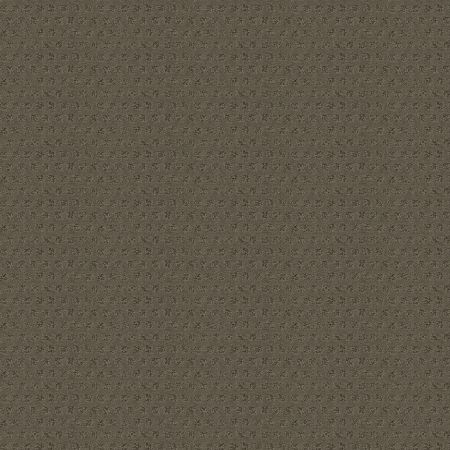 Anderson Tuftex My Expression Essex