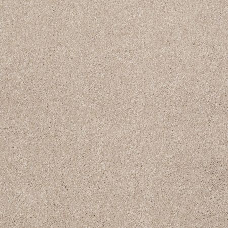 Shaw Floors SHAW FLOORING GALLERY Perfectly Timed French Canvas